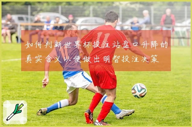 如何判断世界杯投注站盘口升降的真实含义以便做出明智投注决策