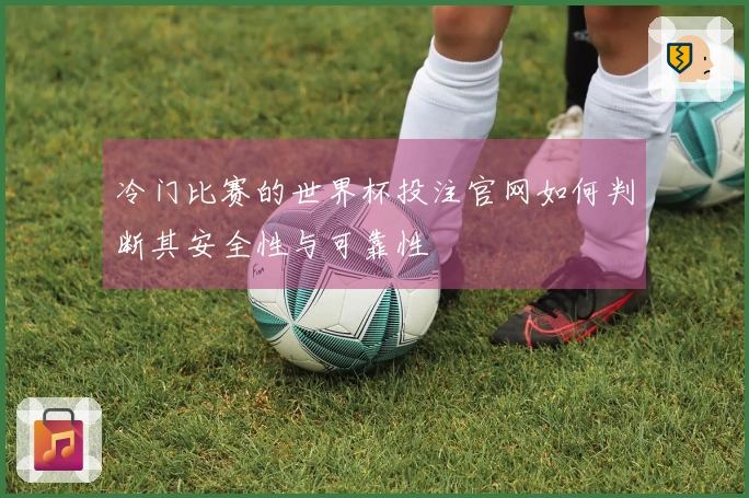 冷门比赛的世界杯投注官网如何判断其安全性与可靠性