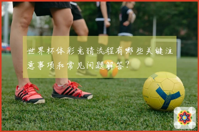 世界杯体彩竞猜流程有哪些关键注意事项和常见问题解答？