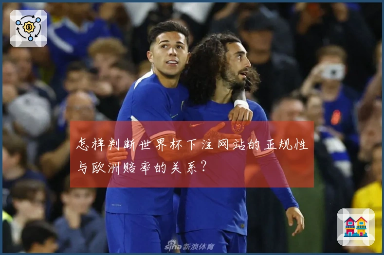 怎样判断世界杯下注网站的正规性与欧洲赔率的关系？