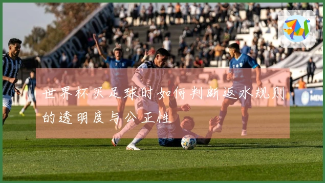 世界杯买足球时如何判断返水规则的透明度与公正性
