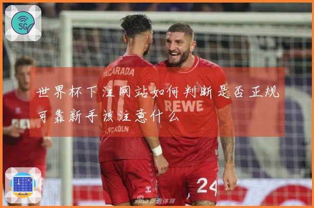 世界杯下注网站如何判断是否正规可靠新手该注意什么