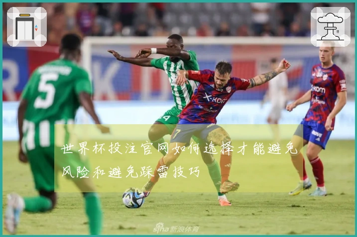 世界杯投注官网如何选择才能避免风险和避免踩雷技巧