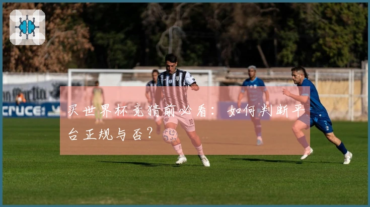 买世界杯竞猜前必看：如何判断平台正规与否？