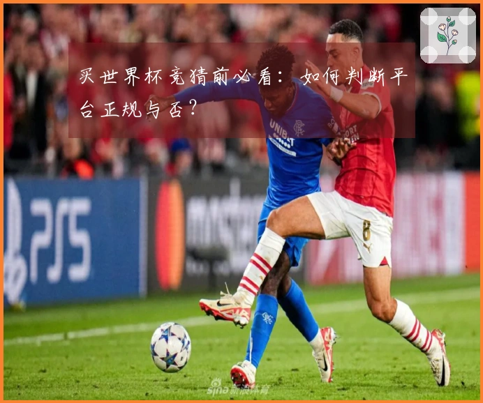买世界杯竞猜前必看：如何判断平台正规与否？