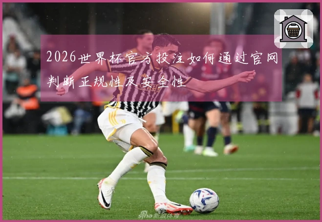 2026世界杯官方投注如何通过官网判断正规性及安全性