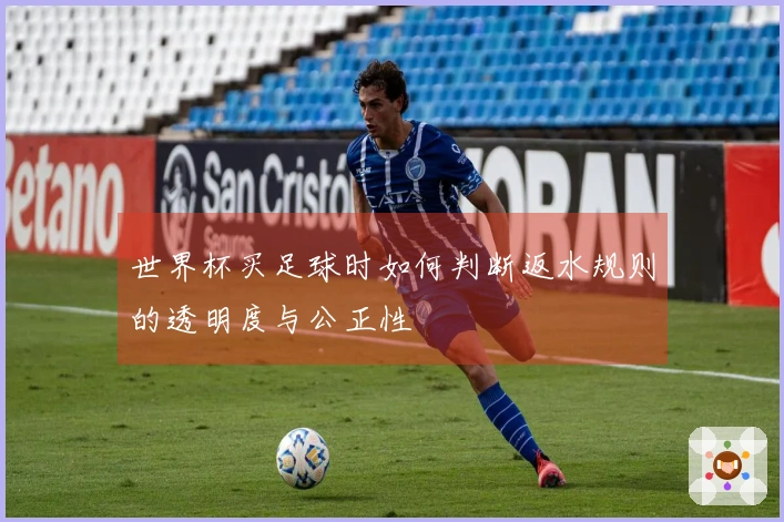 世界杯买足球时如何判断返水规则的透明度与公正性