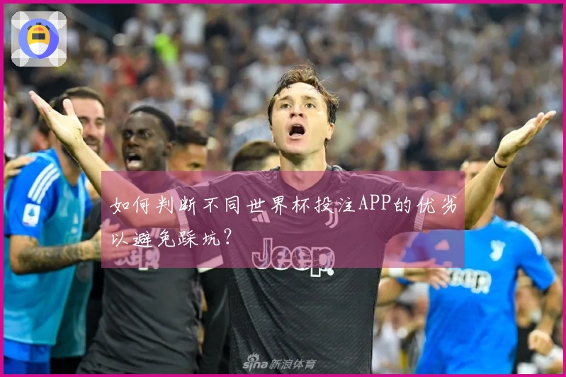 如何判断不同世界杯投注APP的优劣以避免踩坑？