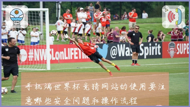 手机端世界杯竞猜网站的使用要注意哪些安全问题和操作流程
