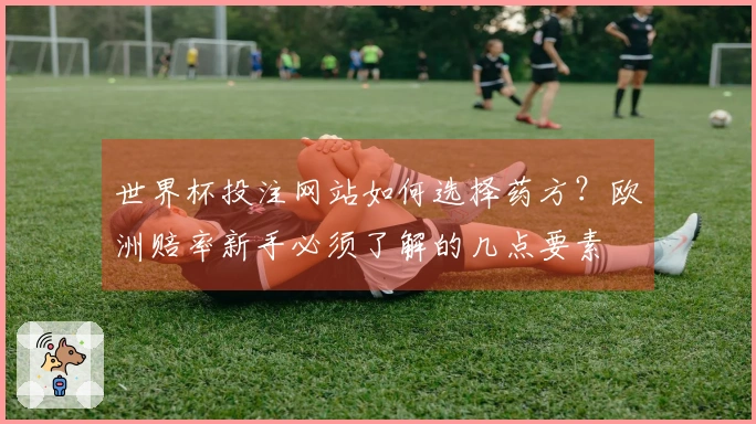 世界杯投注网站如何选择药方？欧洲赔率新手必须了解的几点要素