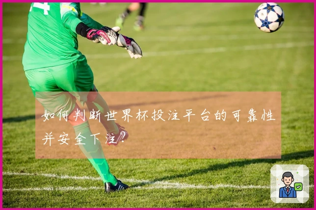 如何判断世界杯投注平台的可靠性并安全下注？