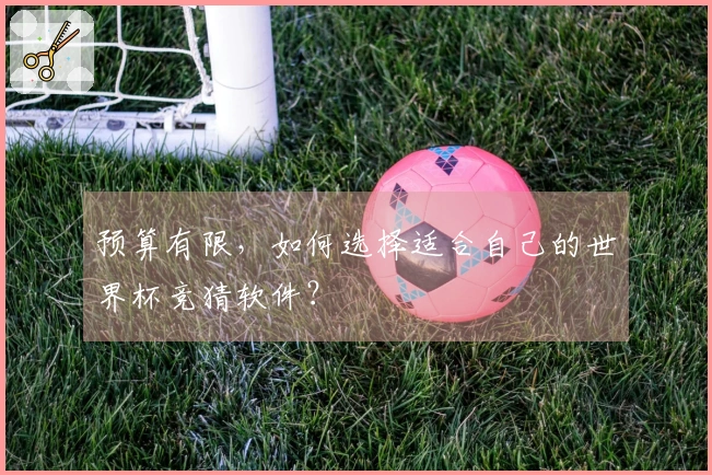 预算有限，如何选择适合自己的世界杯竞猜软件？