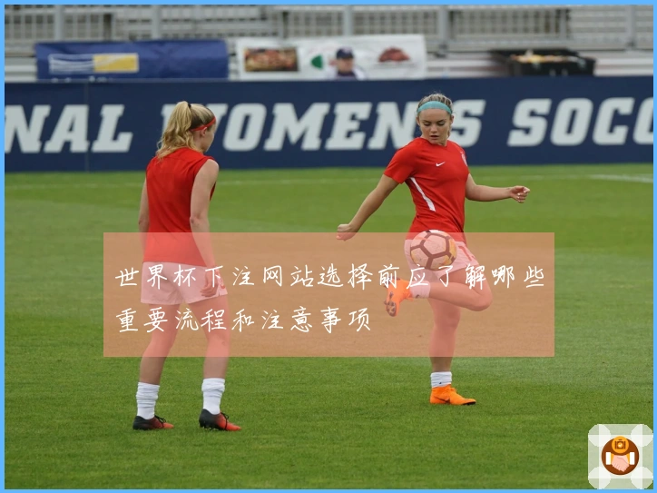 世界杯下注网站选择前应了解哪些重要流程和注意事项