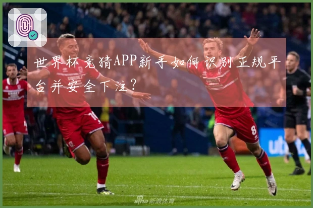 世界杯竞猜APP新手如何识别正规平台并安全下注？