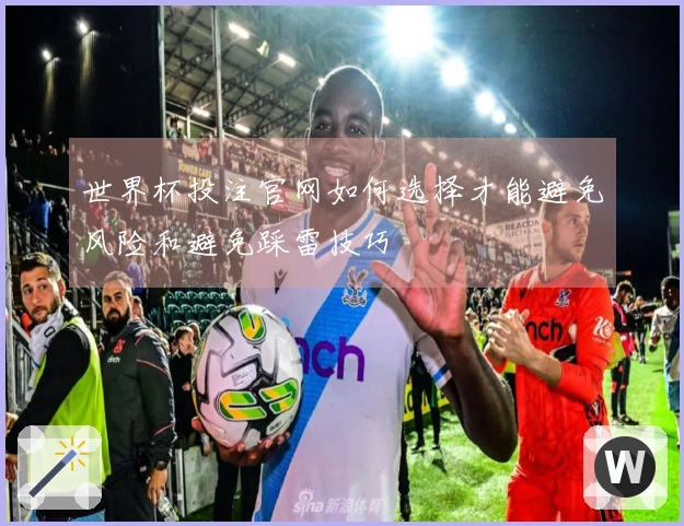 世界杯投注官网如何选择才能避免风险和避免踩雷技巧