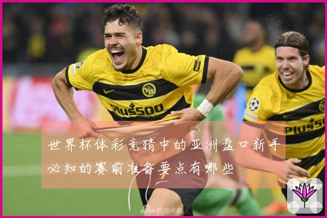 世界杯体彩竞猜中的亚洲盘口新手必知的赛前准备要点有哪些