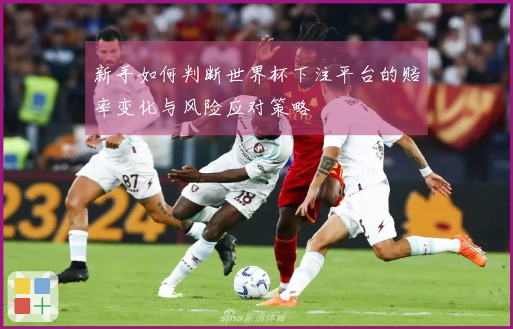 新手如何判断世界杯下注平台的赔率变化与风险应对策略