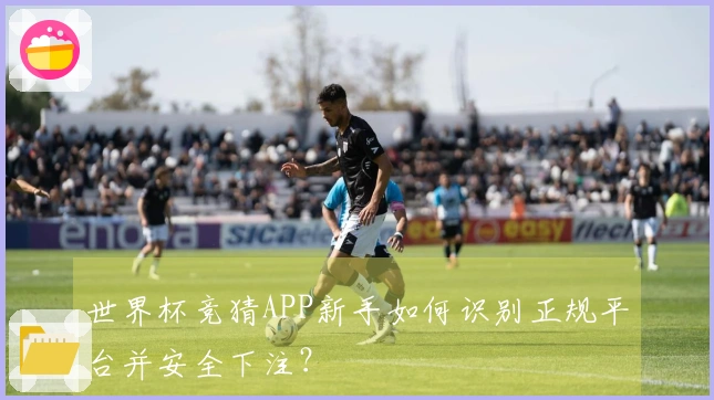 世界杯竞猜APP新手如何识别正规平台并安全下注？
