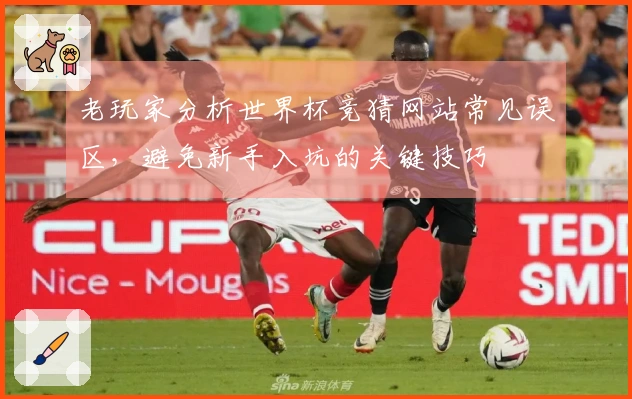 老玩家分析世界杯竞猜网站常见误区，避免新手入坑的关键技巧
