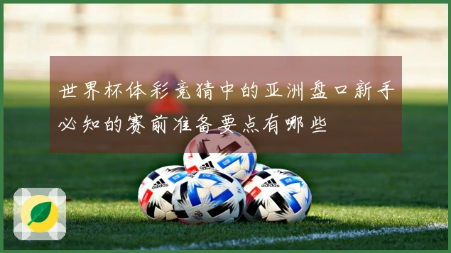 世界杯体彩竞猜中的亚洲盘口新手必知的赛前准备要点有哪些