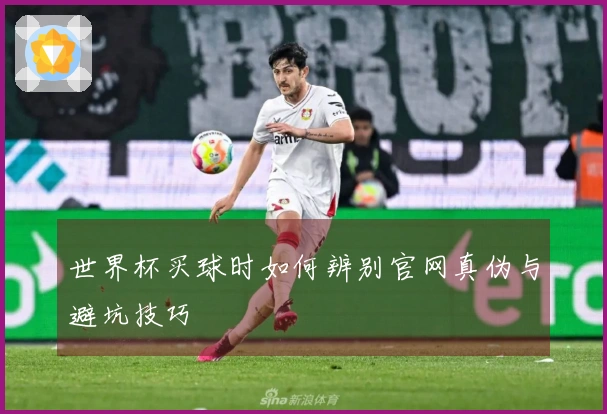 世界杯买球时如何辨别官网真伪与避坑技巧