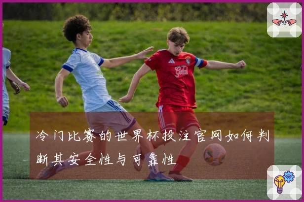 冷门比赛的世界杯投注官网如何判断其安全性与可靠性