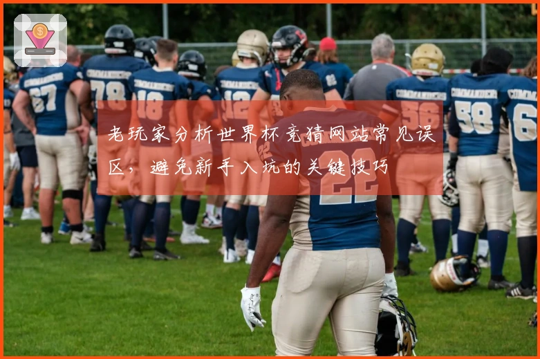 老玩家分析世界杯竞猜网站常见误区，避免新手入坑的关键技巧