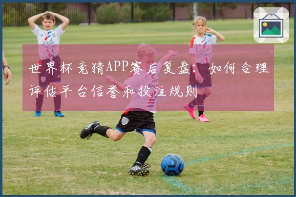 世界杯竞猜APP赛后复盘：如何合理评估平台信誉和投注规则